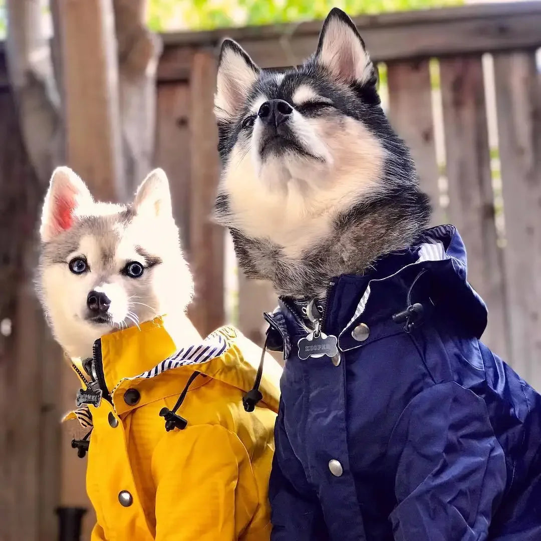 SunnyPaws Rain Jacket for Dogs