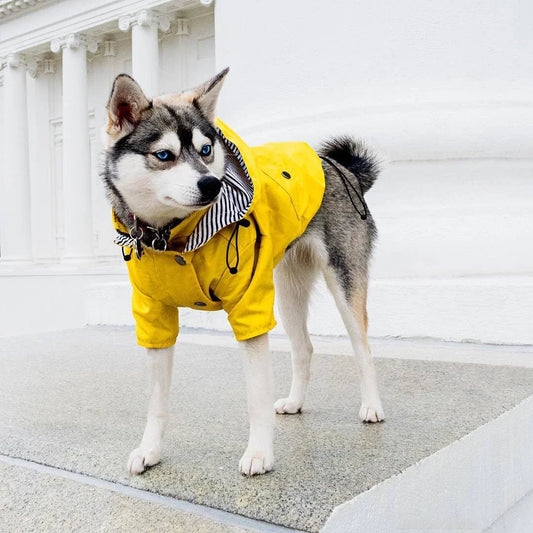 SunnyPaws Rain Jacket for Dogs